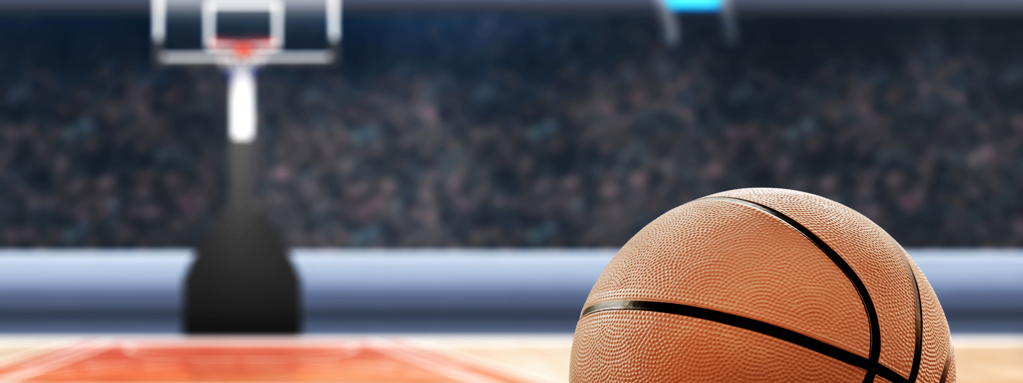 WNBA Star Sues Team After She Announces She’s Pregnant